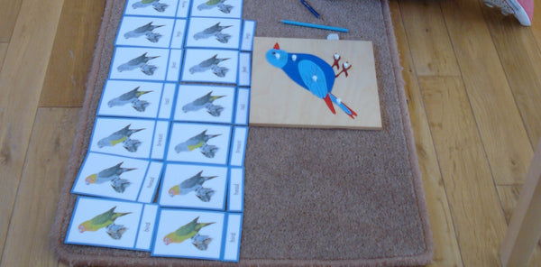 Bundle: Montessori Nomenclature 3-Part Cards for Parts Of A Fish, Amphibian, Reptile, Bird and Mammal