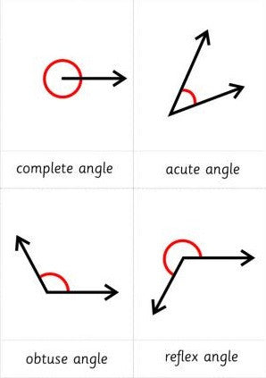 Study of Lines and Angles