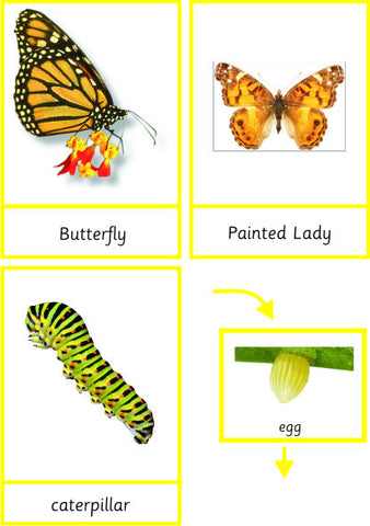 Montessori Butterfly Pack