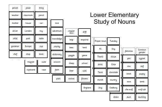 Lower Elementary Study of Nouns Complete set