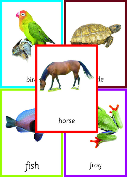 Bundle: Montessori Nomenclature 3-Part Cards for Parts Of A Fish, Amphibian, Reptile, Bird and Mammal