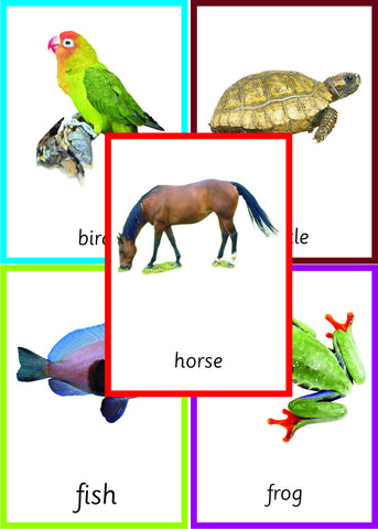 Bundle: Montessori Nomenclature 3-Part Cards for Parts Of A Fish, Amphibian, Reptile, Bird and Mammal