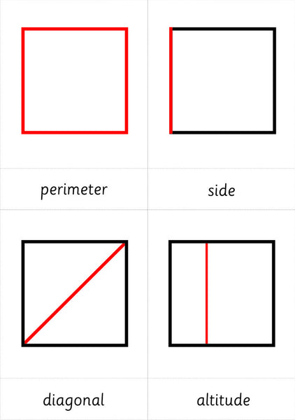 Parts of The Square, Circle, Triangle & Trapezium